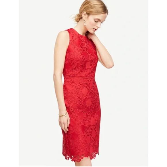 NWT Women's Ann Taylor Lace Sheath Dress in Bright Geranium sz 14 Romantic Glam - Picture 5 of 5